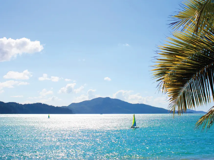 Tropical beach with sailboats on turquoise water, palm tree in foreground, and mountain in background.