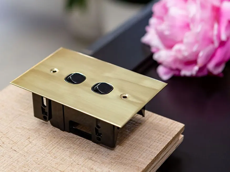 Metal plate with two black switches mounted on wood, pink flower in background.