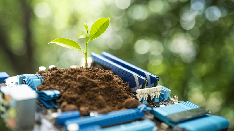Plant on a computer chip