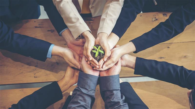 Several hands holding a small plant