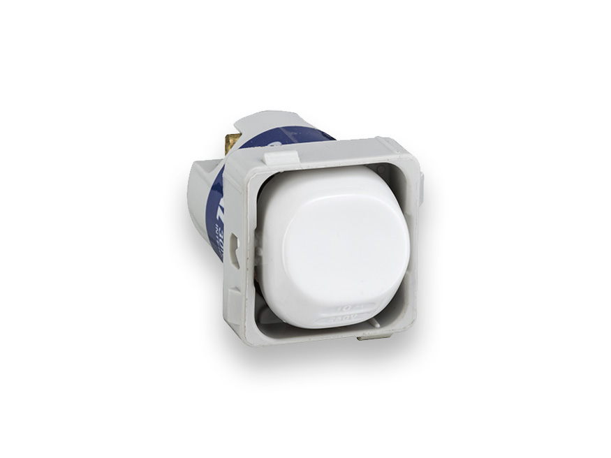 30 Series switch mechanisms