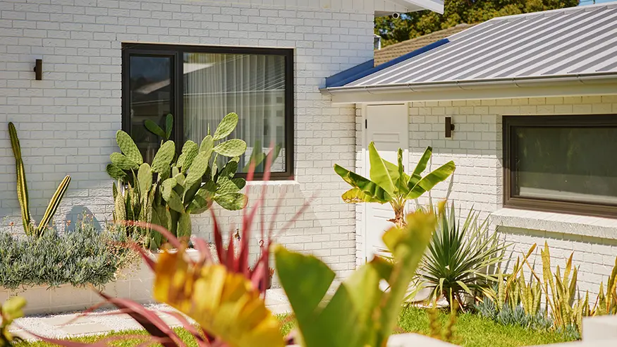 Clipsal wall light on white brick wall near window and door, framed by green plants and cacti.